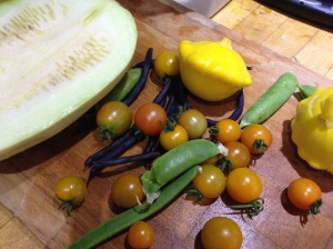 Patty pans, a squash, some tomatoes and beans... 
