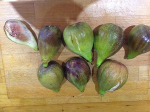 Fresh figs from our tree